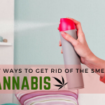 Best ways to get rid of the smell of cannabis