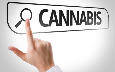 How to Buy Cannabis in Legal Medical State?