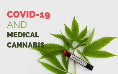Can Medical Marijuana help to prevent or treat COVID-19?