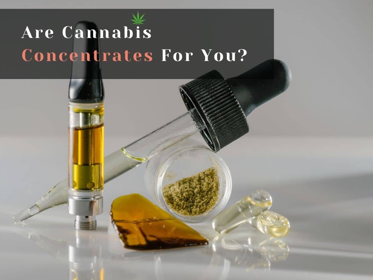 Are Cannabis Concentrates For You