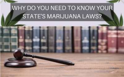 Why do You Need to Know Your State’s Marijuana Laws