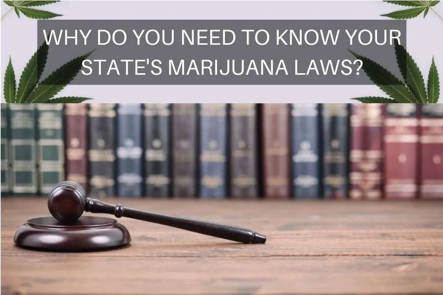 Marijuana Laws you need to know