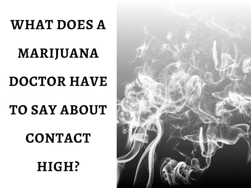 Marijuana Doctor Have to Say About Contact High?