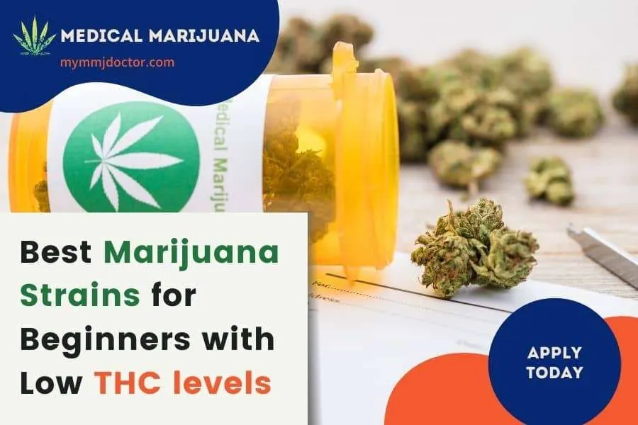 Best Marijuana strains for beginners with low THC levels.
