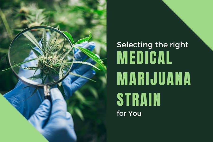 Selecting the right medical marijuana strain for you