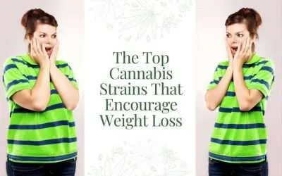Top Cannabis Strains That Encourage Weight Loss
