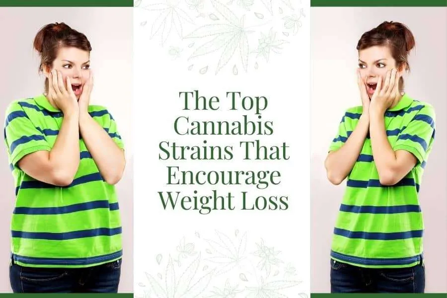 The Top Cannabis Strains That Encourage Weight Loss