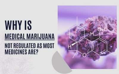 Why Is Medical Marijuana Not Regulated as Most Medicines Are?