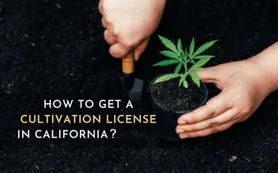 How to get a cultivation license in California?