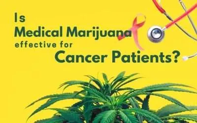 Is Medical Marijuana Effective for Cancer Patients?