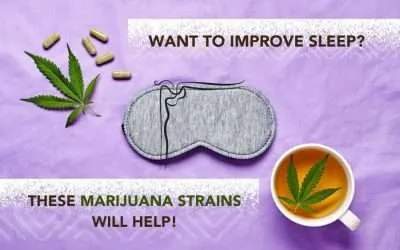 Want to Improve Sleep? These Marijuana Strains Will Help!
