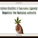 Virginia creates a cannabis agency to regulate the budding industry.
