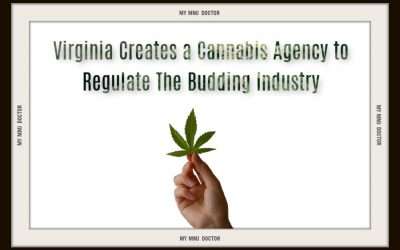 Virginia creates a Cannabis Agency to Regulate the Budding Industry