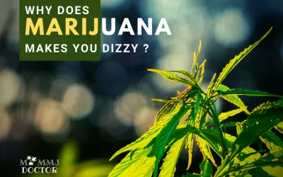 Why does marijuana make you dizzy?