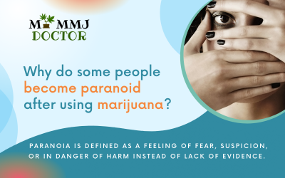 Why do some people become paranoid after using marijuana?