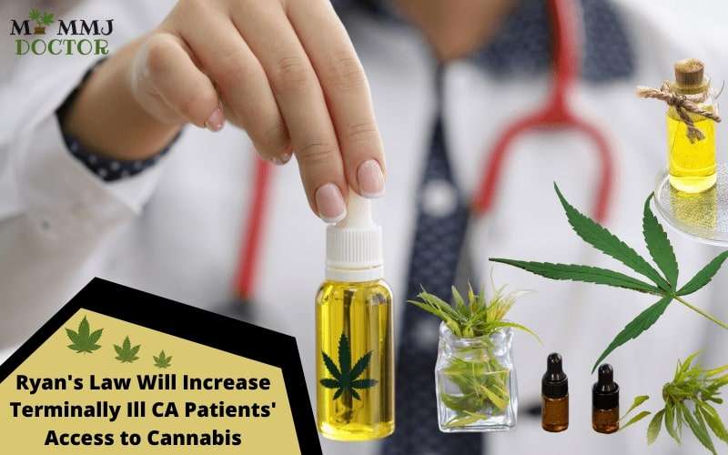 Ryan's Law Will Increase Terminally Ill CA Patients' Access to Cannabis