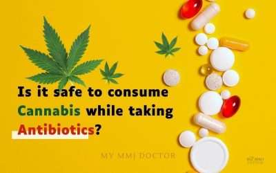 Is it safe to consume Cannabis while taking Antibiotics?