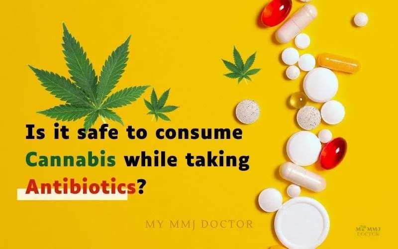Is it safe to consume Cannabis while taking antibiotics