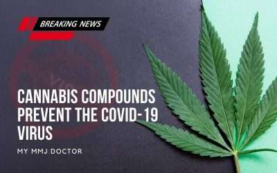 Cannabis compounds prevent the COVID-19 Virus from entering human cells. 