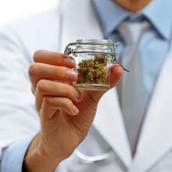 Evanston medical marijuana doctors - Illinois