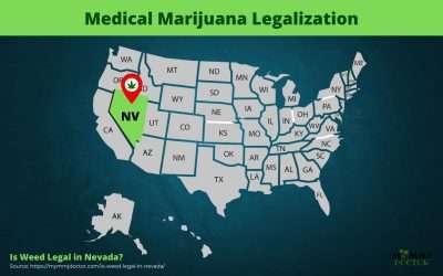 Is Weed Legal in Nevada?