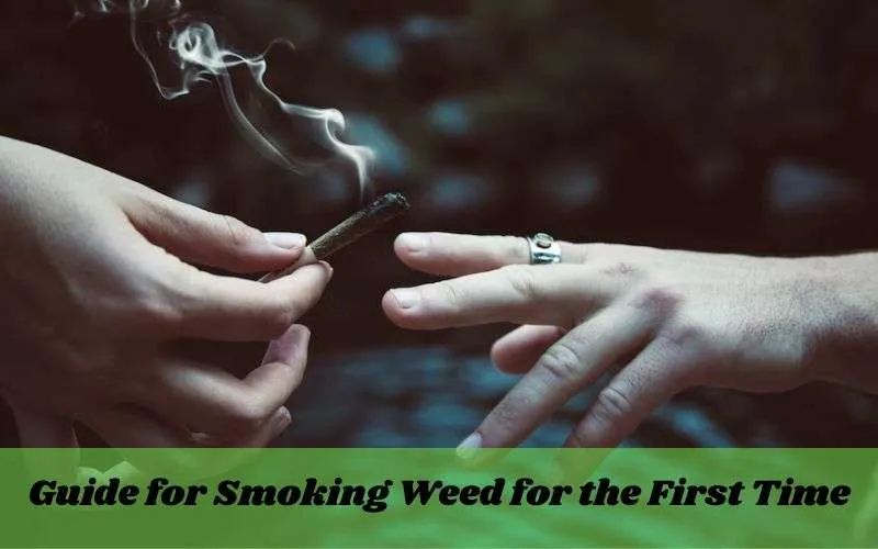 Beginner Guide for Smoking Weed for the First Time