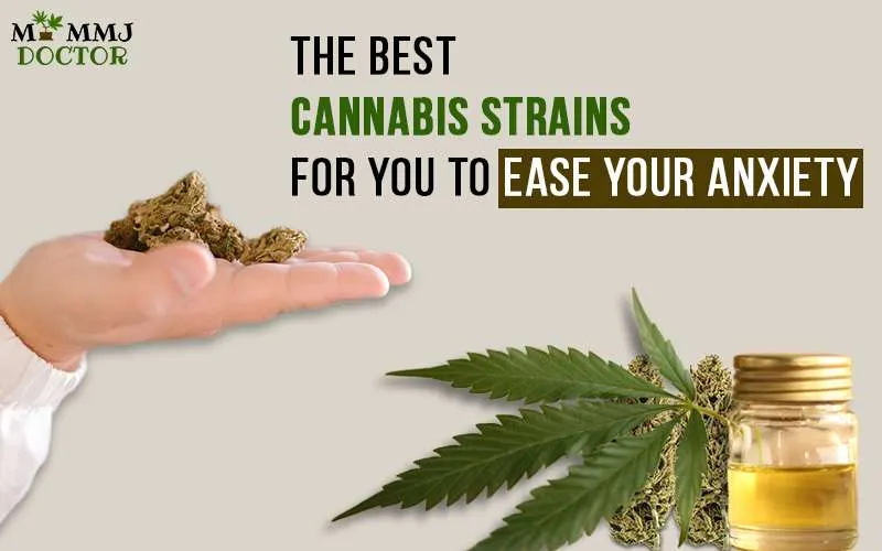 Best Cannabis Strains For You To Ease Your Anxiety