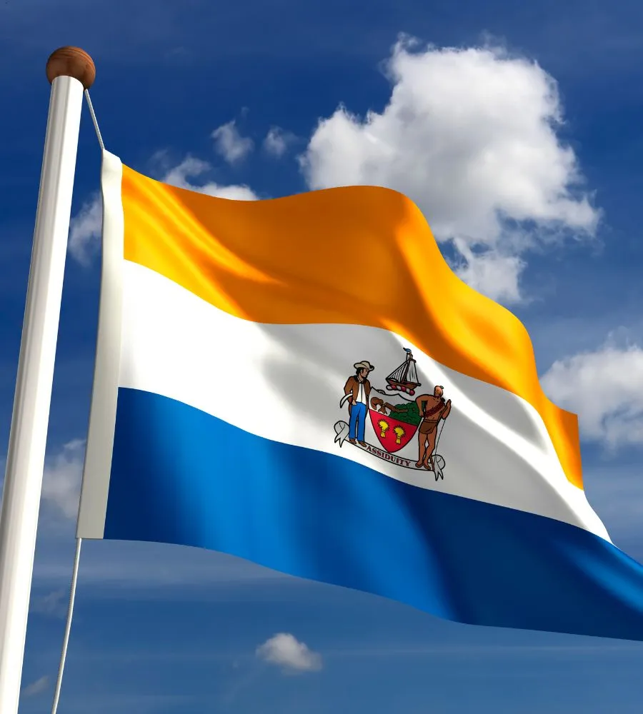 Albany City Flag