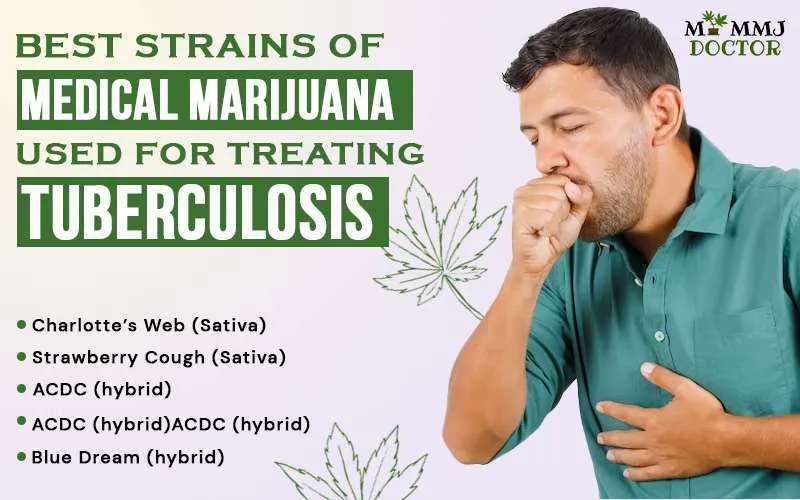 Best Strains of Medical Marijuana used for treating Tuberculosis<br />
