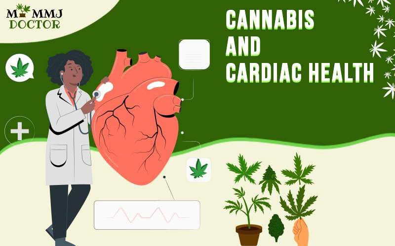 cannabis and cardiac health