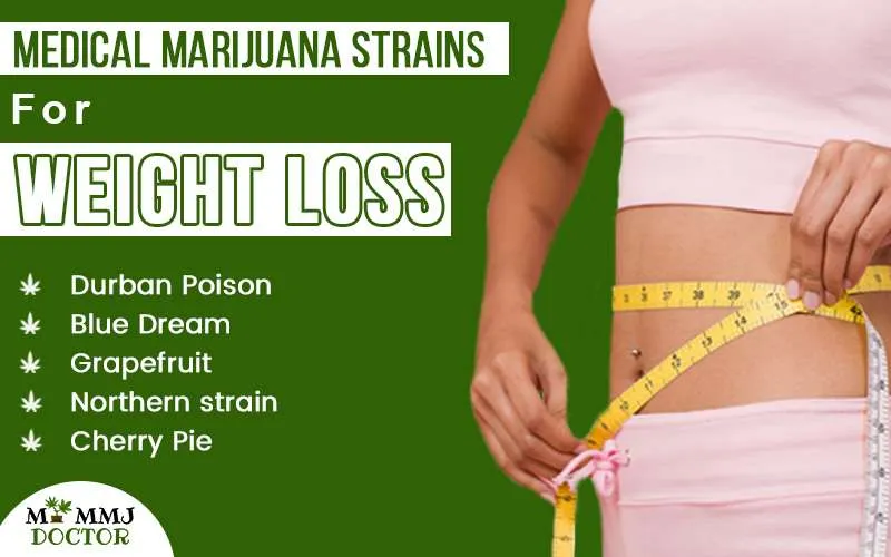 medical marijauna strain for weight loss