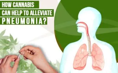 Discover Medical Marijuana’s Role in Pneumonia Recovery