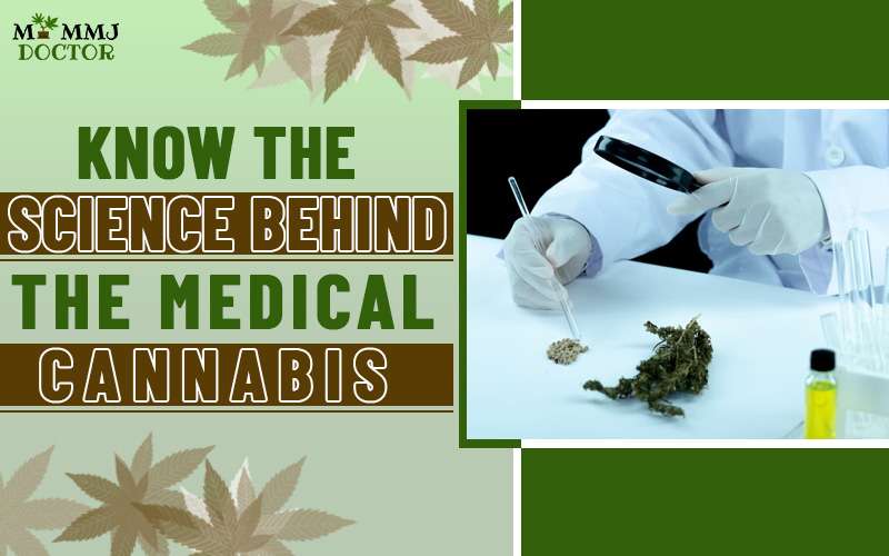 Know the science behind the medical cannabis