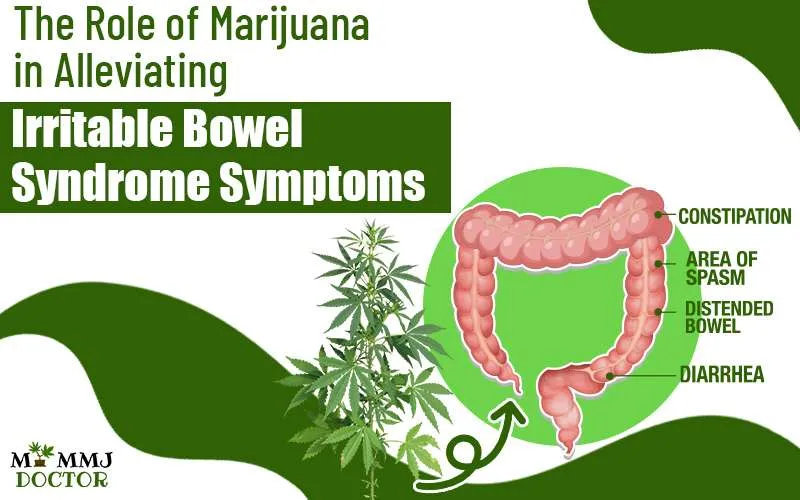 The Role of Marijuana in Alleviating Irritable Bowel Syndrome  Symptoms