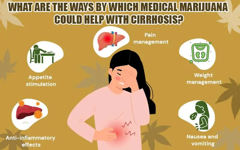 Ways by Which Medical Marijuana Could Help With Cirrhosis Condition