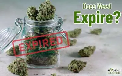 Weed’s Best Before Date : Does weed expire?