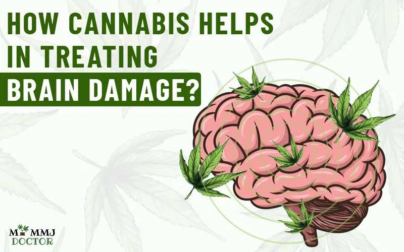 How Cannabis Helps in Treating Brain Damage cover image