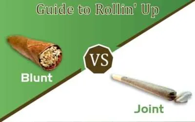 Understanding the difference between a Joint and a Blunt!