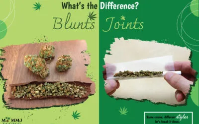 What is the Difference Between a Blunt and a Joint?