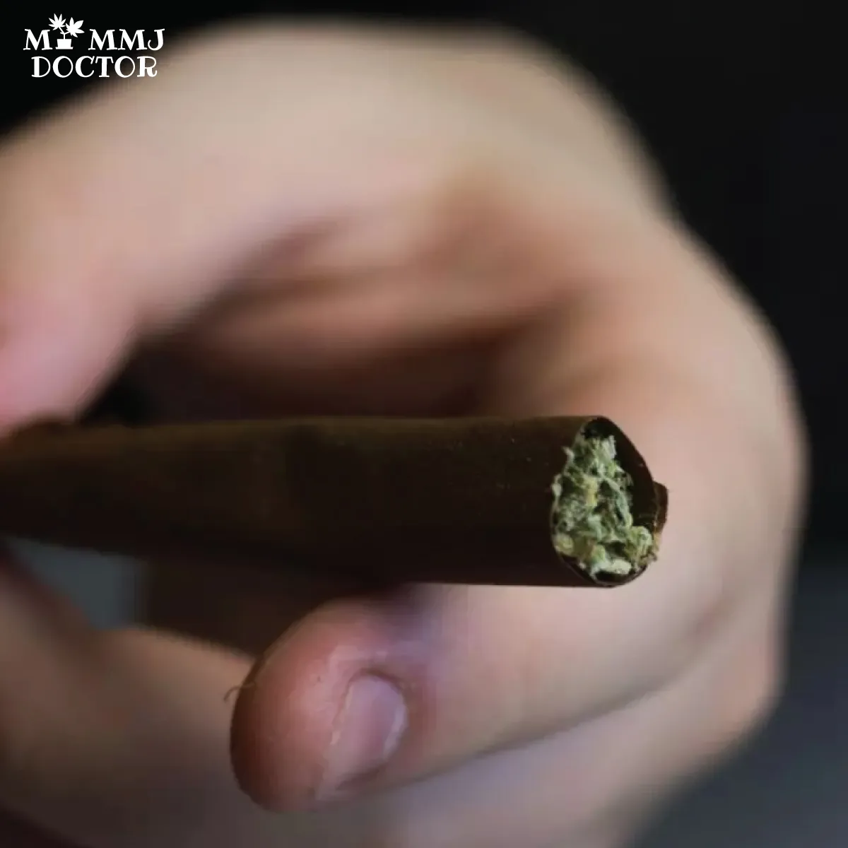 close-up of a blunt rolled with a tobacco wrap, filled with cannabis