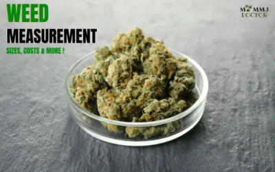Exploring Weed Measurements: Sizes, Costs, and More!