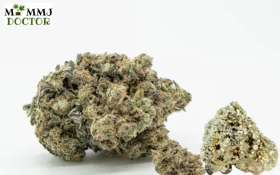 What are Moon Rocks and How to Consume them?