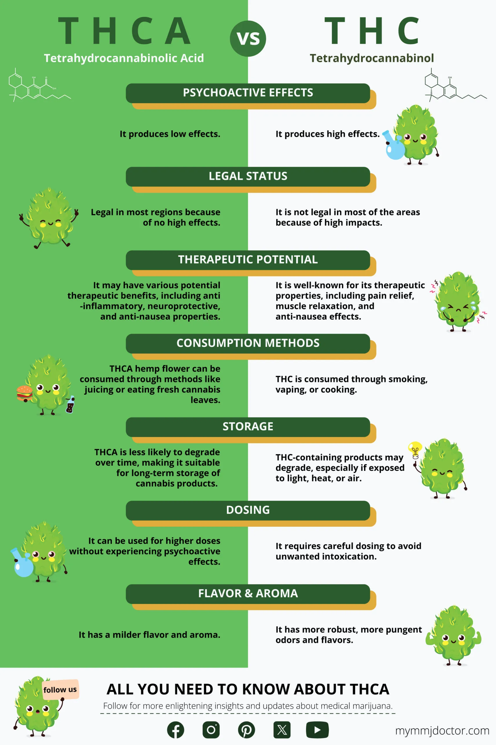 difference between THCA and THC infographic difference between THCA and THC infographic