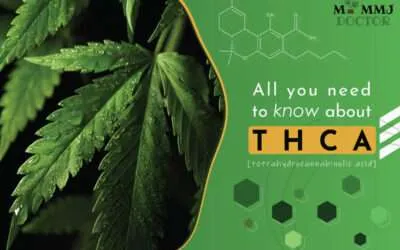 All you need to know about THCA