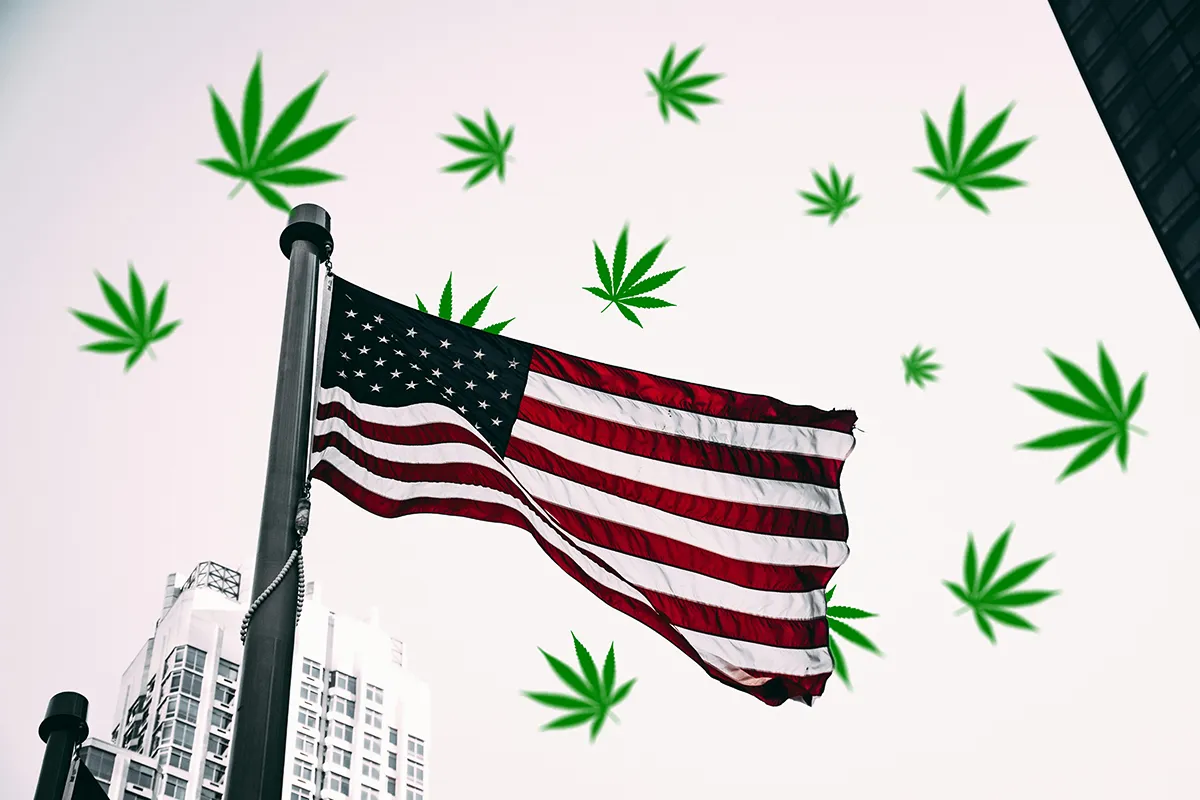 top 7 cannabis-friendly cities in the united states top 7 cannabis-friendly cities in the united states