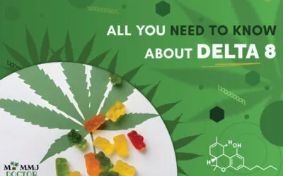 All You Need To Know About Delta 8