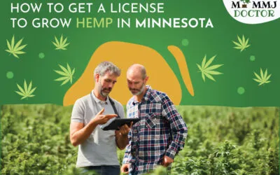 How To Get A License To Grow Hemp In Minnesota