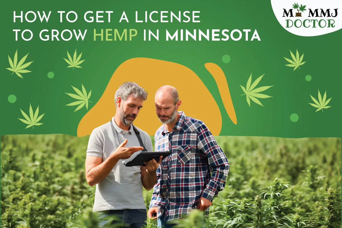 how to get a license to grow hemp in minnesota how to get a license to grow hemp in minnesota