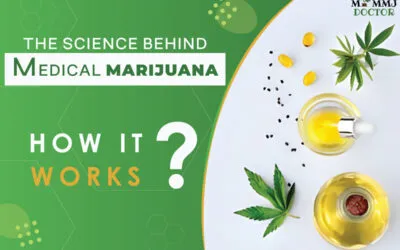 The Science Behind Medical Marijuana: How It Works