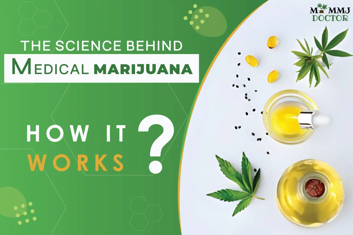 the science behind medical marijuana: how it works